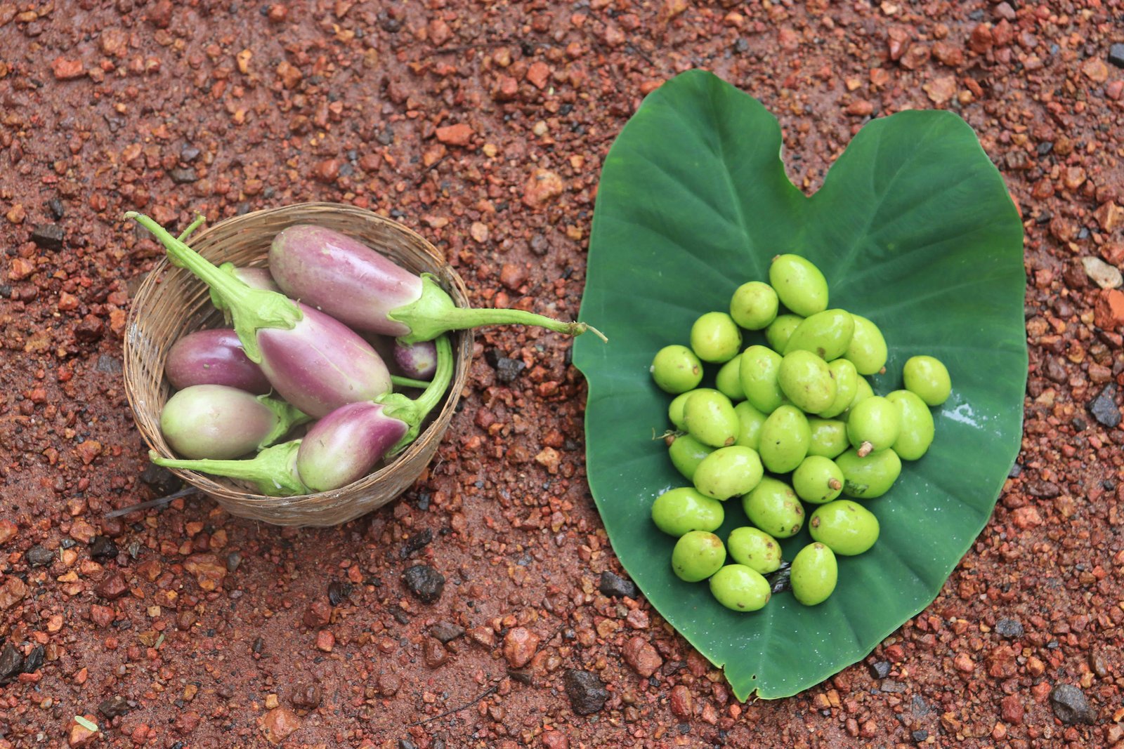 Maachli cuisine